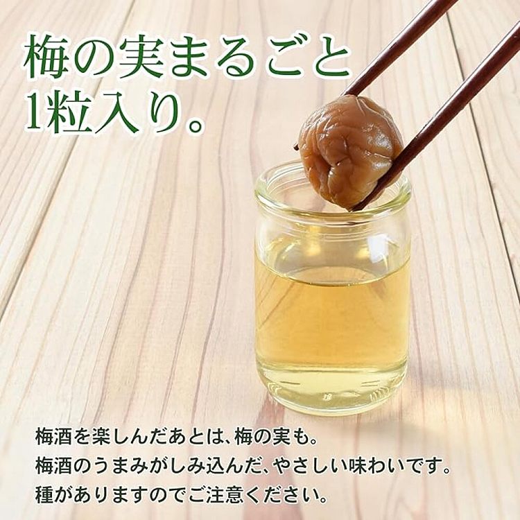 wakayama-wakayama-kishu-plum-wine-9-100ml-2