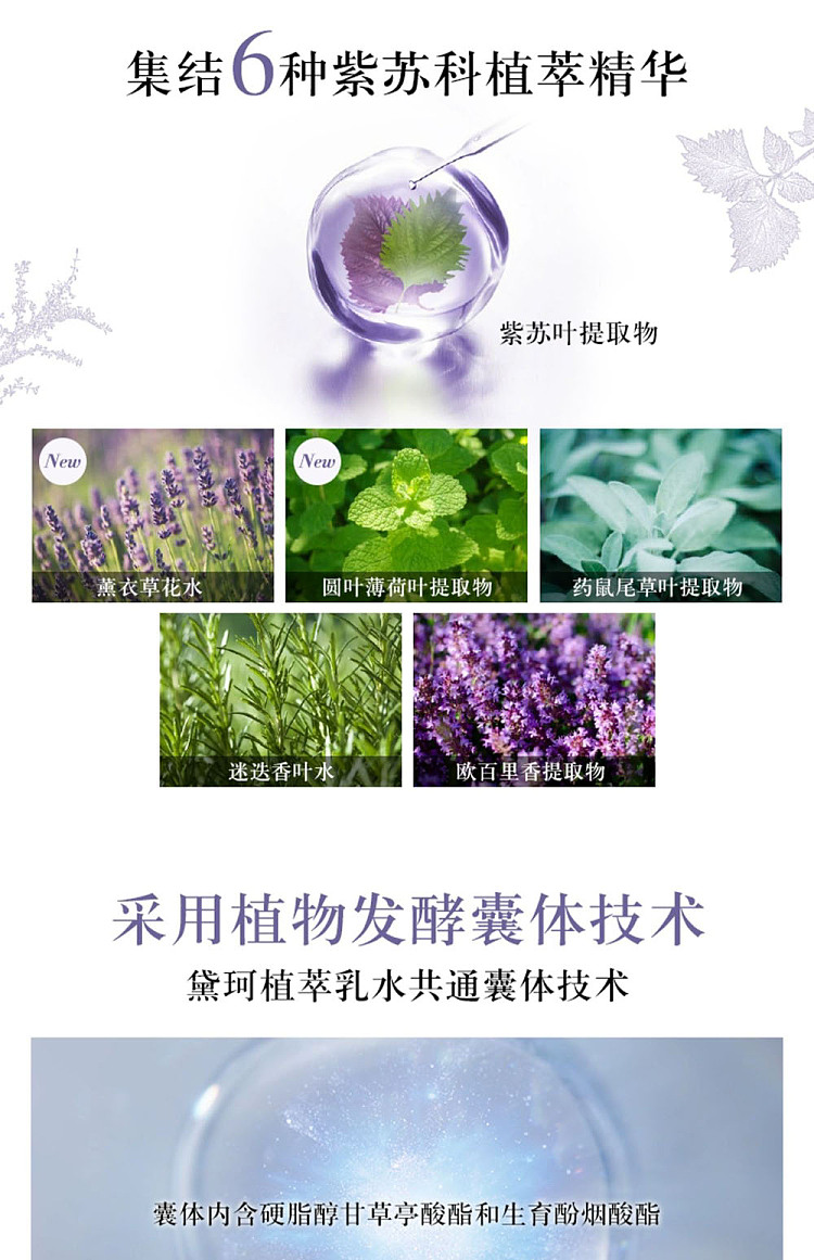 dike-natural-botanical-shiso-water-150ml-4