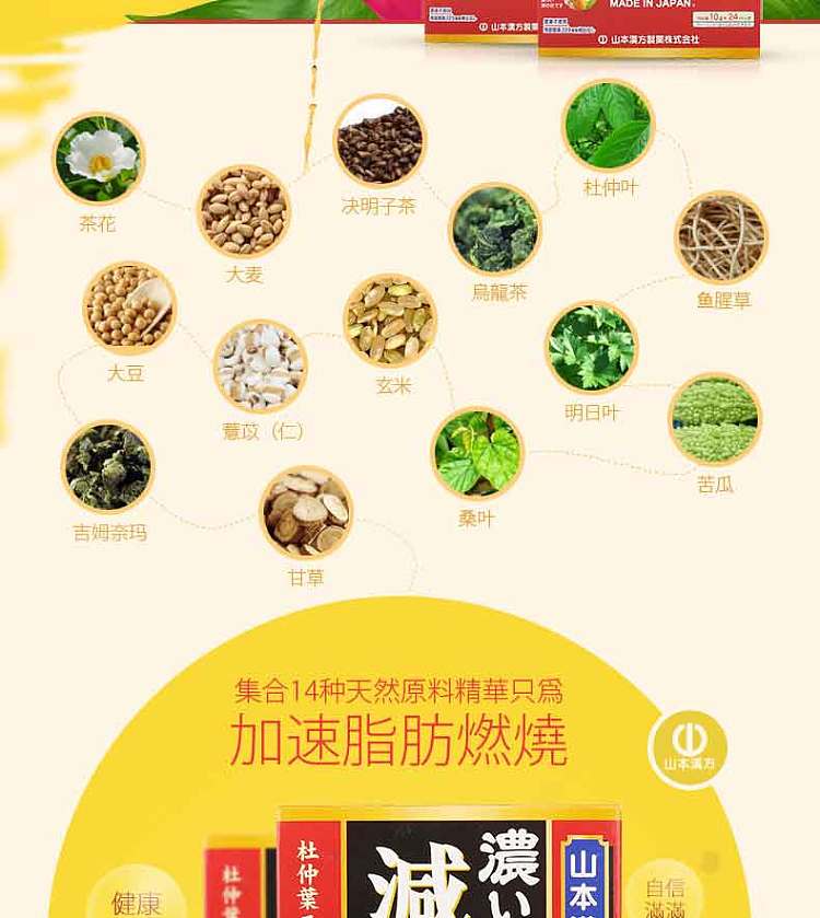 yamamoto-chinese-formula-weight-loss-tea-10g24bag-in-4