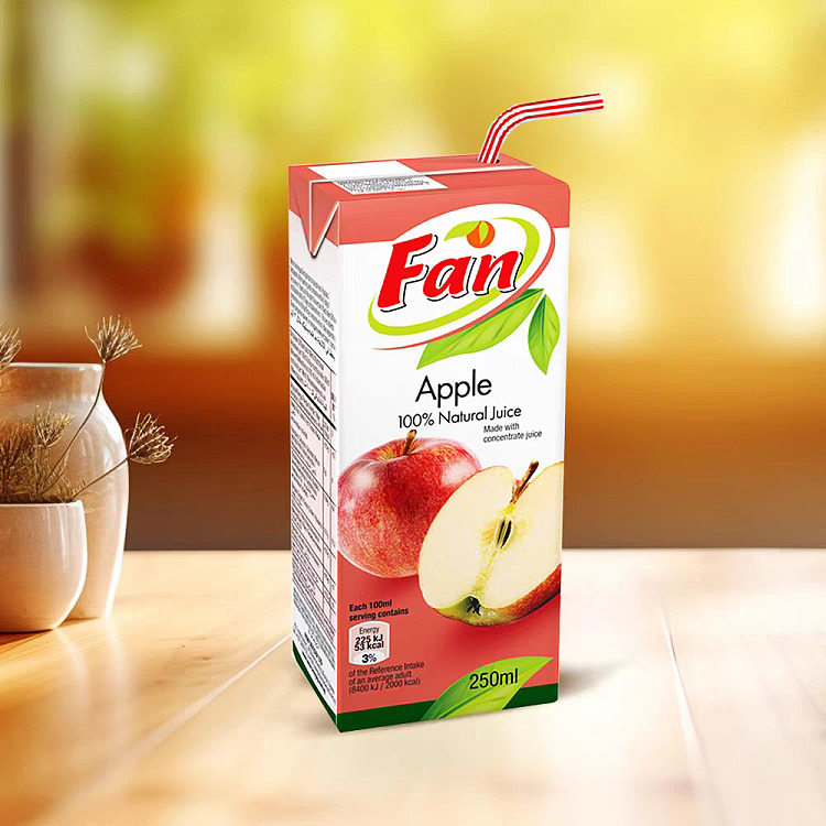 exclusivecostcochina-pure-fruit-fern-apple-juice-250ml27boxes-1