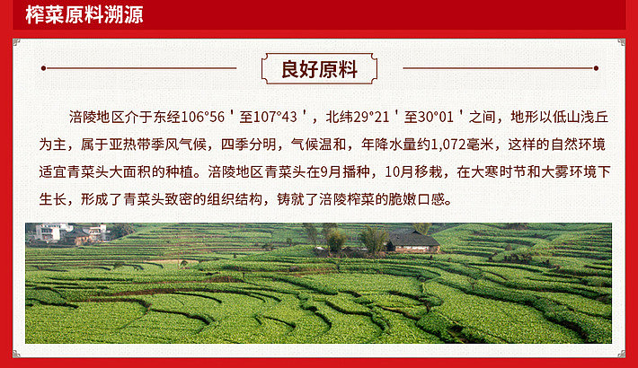 wujiang-squash-sour-and-spicy-flavor-80g-4