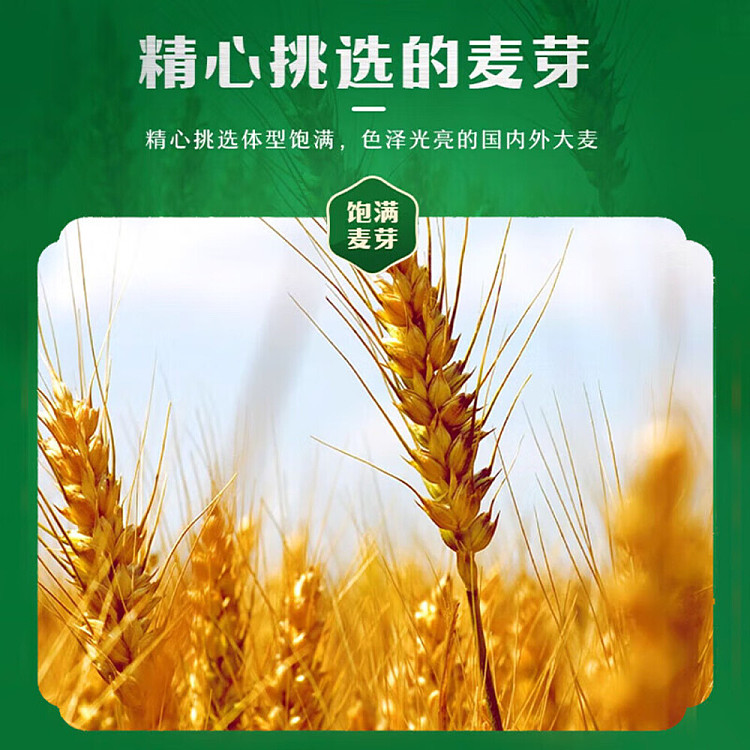 tsingtao-beer-alcohol-45-500ml4-bottles-3