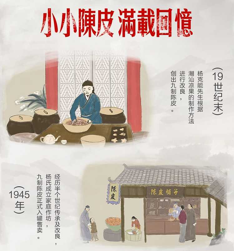 jiabao-nine-made-aged-peel-45g-2