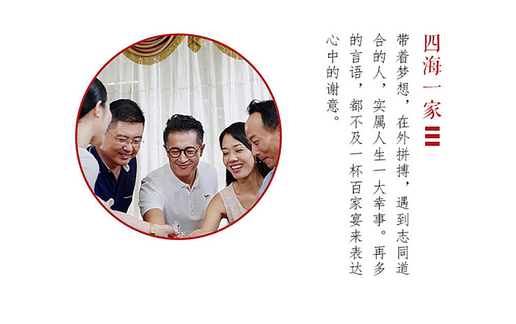 wuliangye-hundred-families-banquet-strong-aroma-white-wine-52-500ml-6