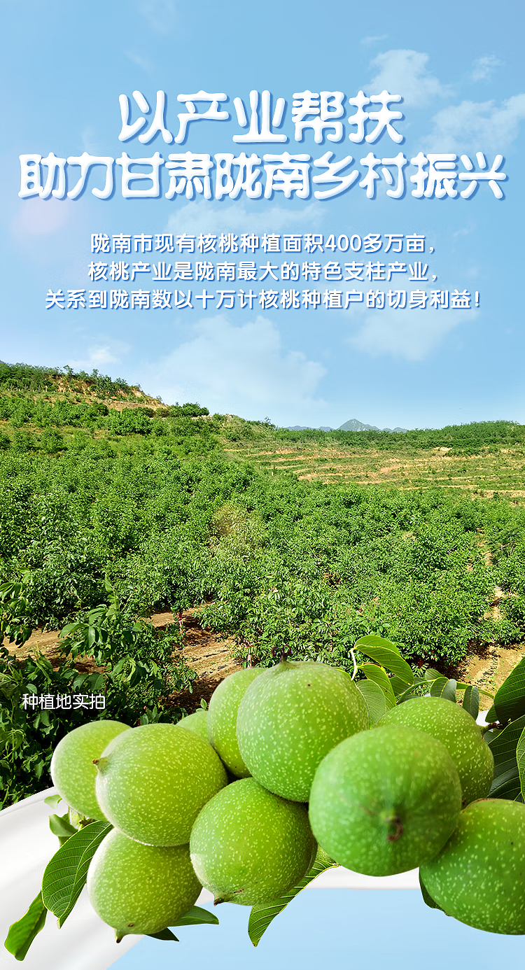 whole-carton-wanglaoji-wanglaoji-walnut-milk-240ml20-2