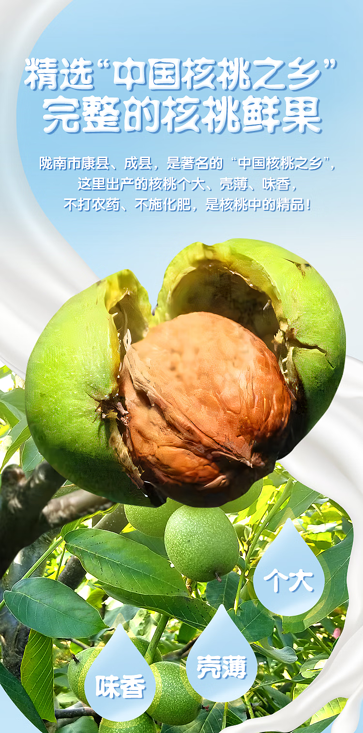 whole-carton-wanglaoji-wanglaoji-walnut-milk-240ml20-3