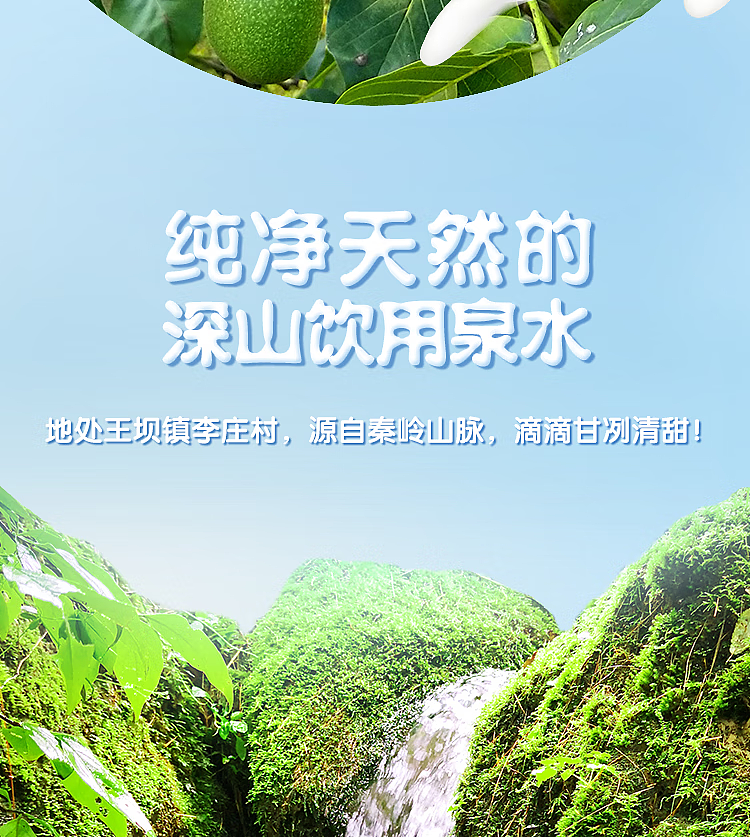 whole-carton-wanglaoji-wanglaoji-walnut-milk-240ml20-4