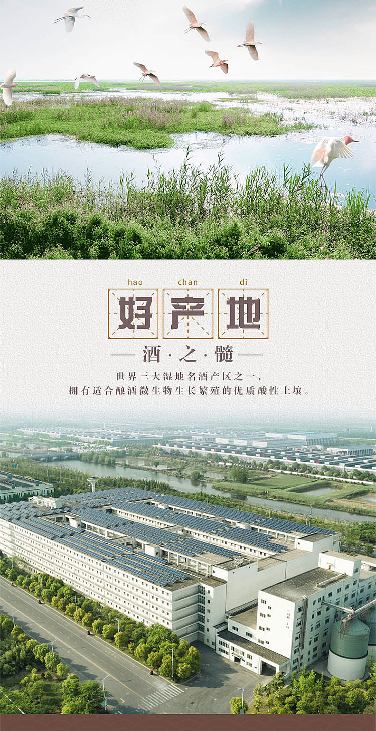 shuanggou-daqu-53-500ml-6