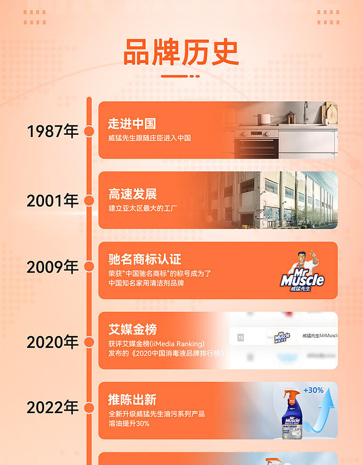 mr-mighty-84-disinfectant-500g-3