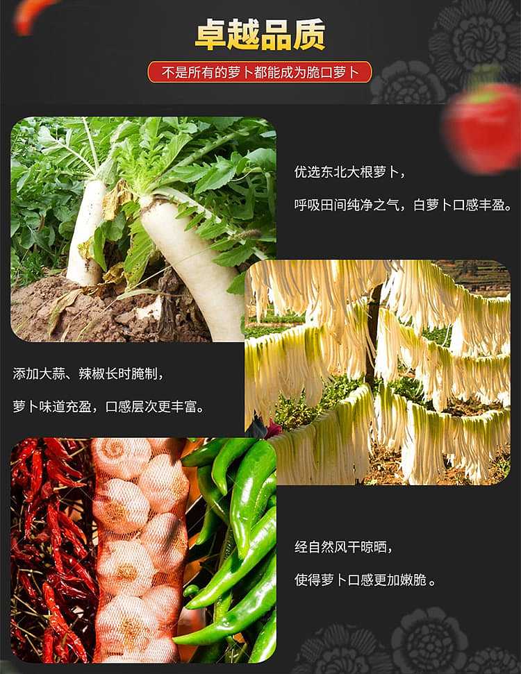 wujiang-crispy-carrots-150g-4