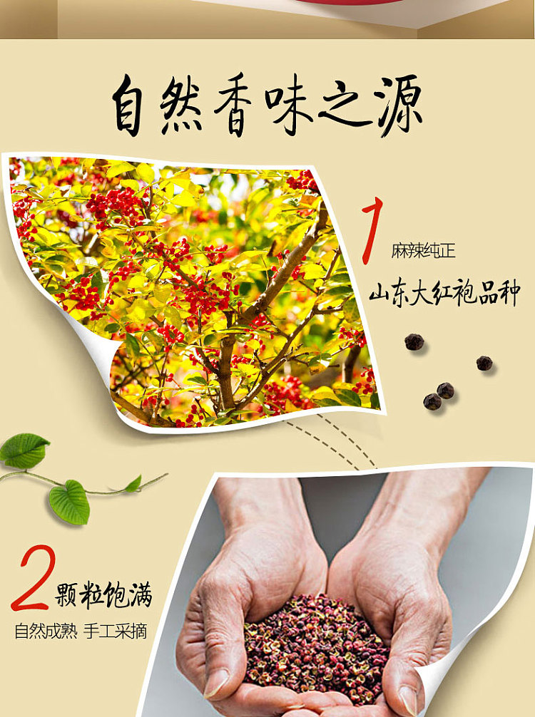 ajiomei-pepper-powder-10g-2