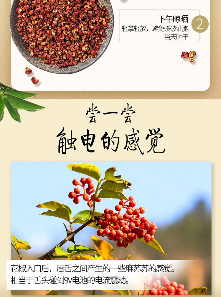 ajiomei-pepper-powder-10g-4