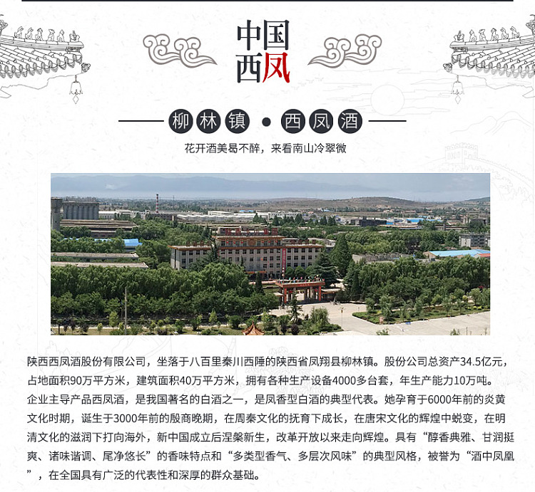 xifeng-liquor-high-neck-green-bottle-feng-xiang-white-wine-55-500ml-4