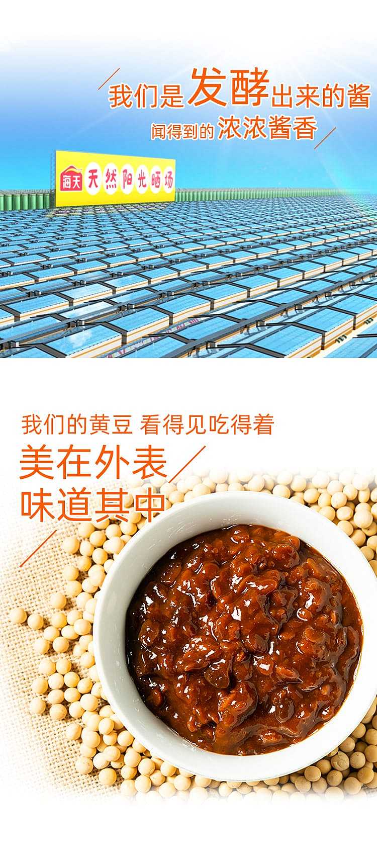 haitian-soy-sauce-chili-flavor-800g-2