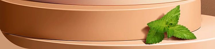 whole-case-yang-xiecheng-cooler-300ml24-cases-3