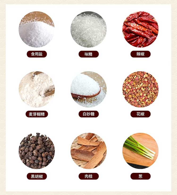 wang-shouyi-spicy-fresh-seasoning-46g-4