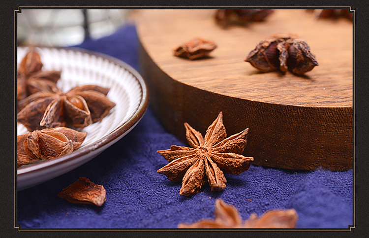 wang-shouyi-thirteen-spice-star-anise-55g-11