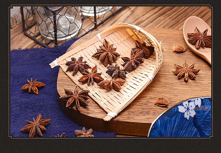 wang-shouyi-thirteen-spice-star-anise-55g-12