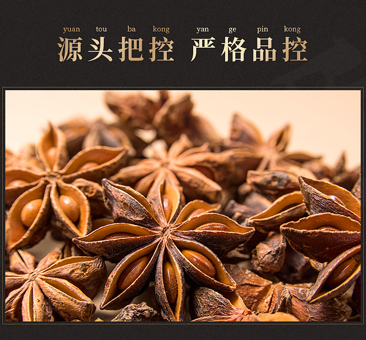 wang-shouyi-thirteen-spice-star-anise-55g-6