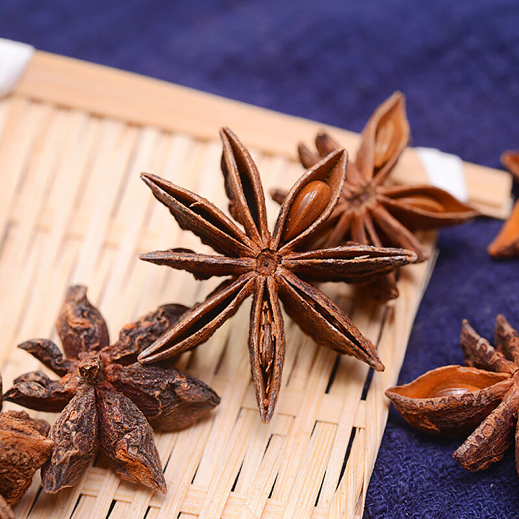 wang-shouyi-thirteen-spice-star-anise-55g-2