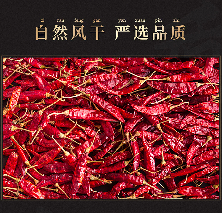 wang-shouyi-thirteen-spice-chili-55g-6