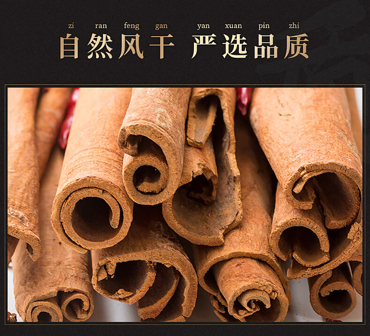 wang-shouyi-thirteen-spice-cinnamon-55g-7
