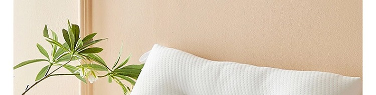 netease-strictly-selected-cassia-buckwheat-anti-mite-flower-and-grass-pillow-single-pillow-45-70cm-3