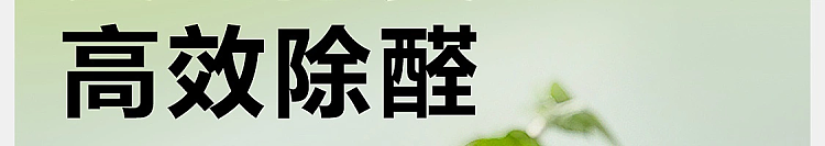 netease-strictly-selected-fragrance-deodorant-balm-empty-mountain-osmanthus-rain-200g-2