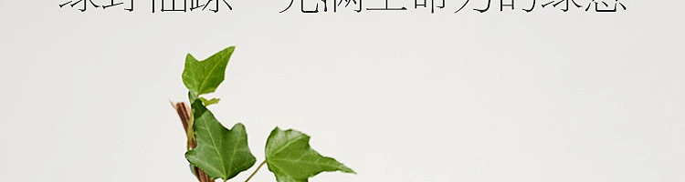 netflix-sense-series-car-fragrance-coconut-breeze-water-whisper-full-size-4g-21