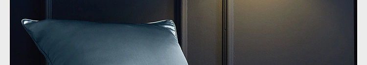 netflix-silk-pillowcase-star-blue-1pc-in-108