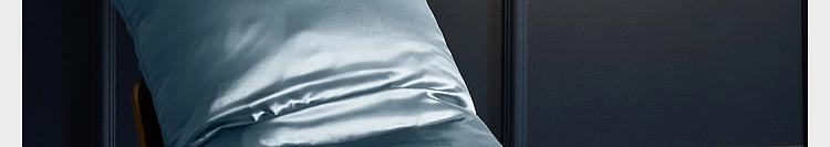 netflix-silk-pillowcase-star-blue-1pc-in-109