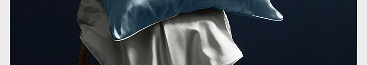 netflix-silk-pillowcase-star-blue-1pc-in-111