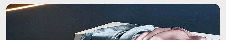 netflix-silk-pillowcase-star-blue-1pc-in-113