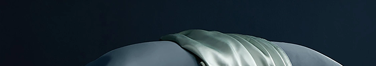 netflix-silk-pillowcase-star-blue-1pc-in-137