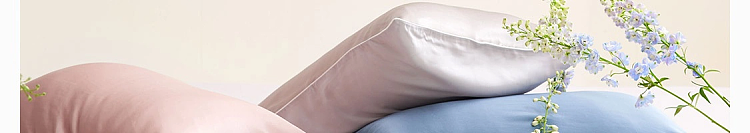 netflix-silk-pillowcase-star-blue-1pc-in-58