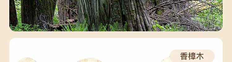 netflix-wardrobe-odor-removal-balsam-fir-20-pieces-31