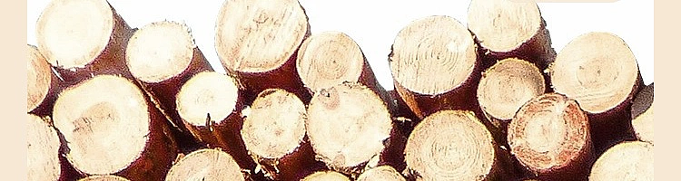 netflix-wardrobe-odor-removal-balsam-fir-20-pieces-32