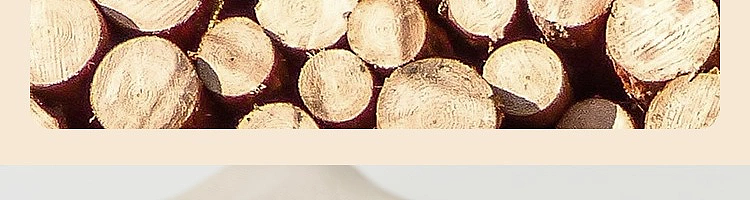 netflix-wardrobe-odor-removal-balsam-fir-20-pieces-34