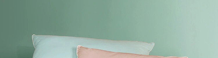 netease-class-a-antibacterial-mite-resistant-cotton-lazy-pillow-regular-750g-clear-sky-blue-27
