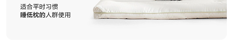 netflix-cotton-class-a-fabric-soy-bandage-pillow-medium-pillow-32
