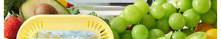 netflix-refrigerator-deodorizing-box-natural-grapefruit-flavor-160g-166