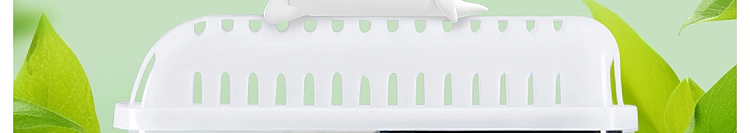 netflix-refrigerator-deodorizing-box-natural-grapefruit-flavor-160g-6