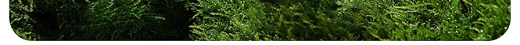 netflix-refrigerator-deodorizing-box-natural-grapefruit-flavor-160g-84
