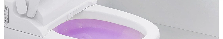 netflix-fragrance-toilet-bowl-cleaner-ocean-flavor-500g-105