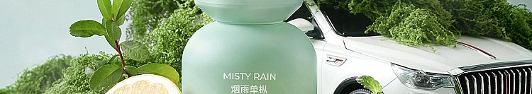 netflix-car-deodorizing-fragrance-smoke-and-rain-single-fir-125ml-139