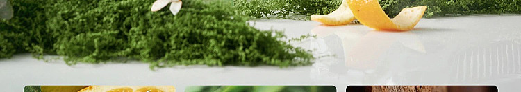 netflix-car-deodorizing-fragrance-smoke-and-rain-single-fir-125ml-141
