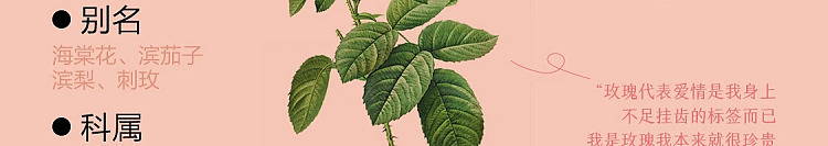 netflix-living-room-deodorizing-fragrance-camellia-berry-120ml-55
