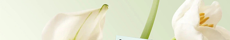 netflix-home-deodorizing-fragrance-rose-suzuran-120ml-137