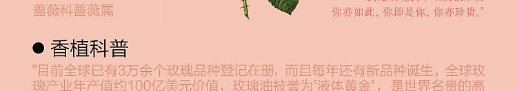 netflix-home-deodorizing-fragrance-rose-suzuran-120ml-38
