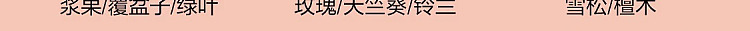 netflix-home-deodorizing-fragrance-rose-suzuran-120ml-51